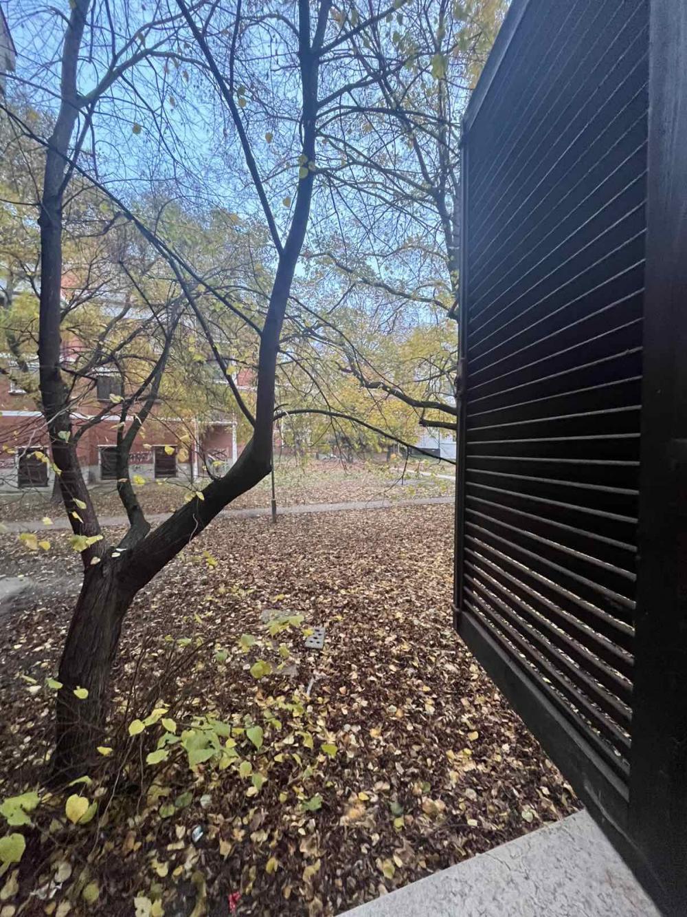 Glavna slika oglasa 32386