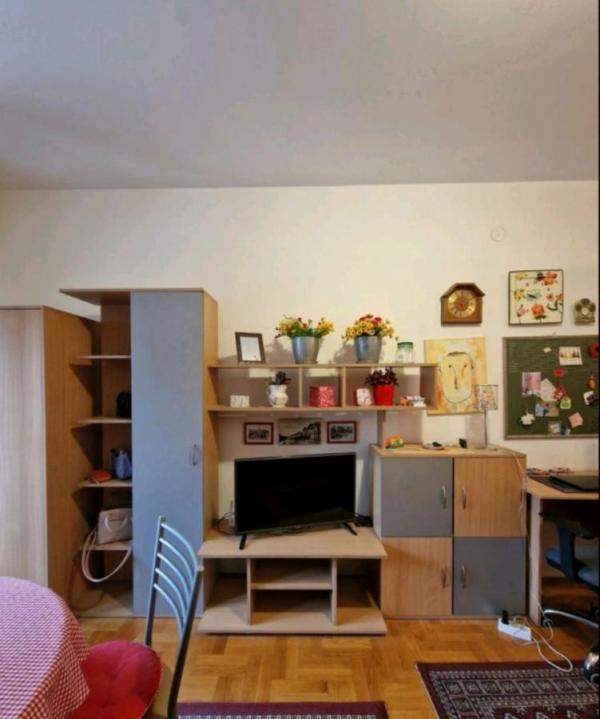 Slika 3 - Jednosoban stan 30m Centar