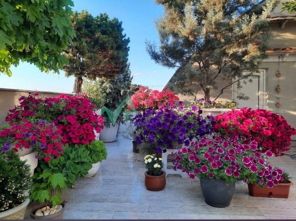 Slika 2 - Luksuzan petosoban stan – Grbavica