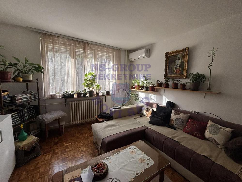 Slika 1 - Dvosoban 47m2 Stara Detelinara