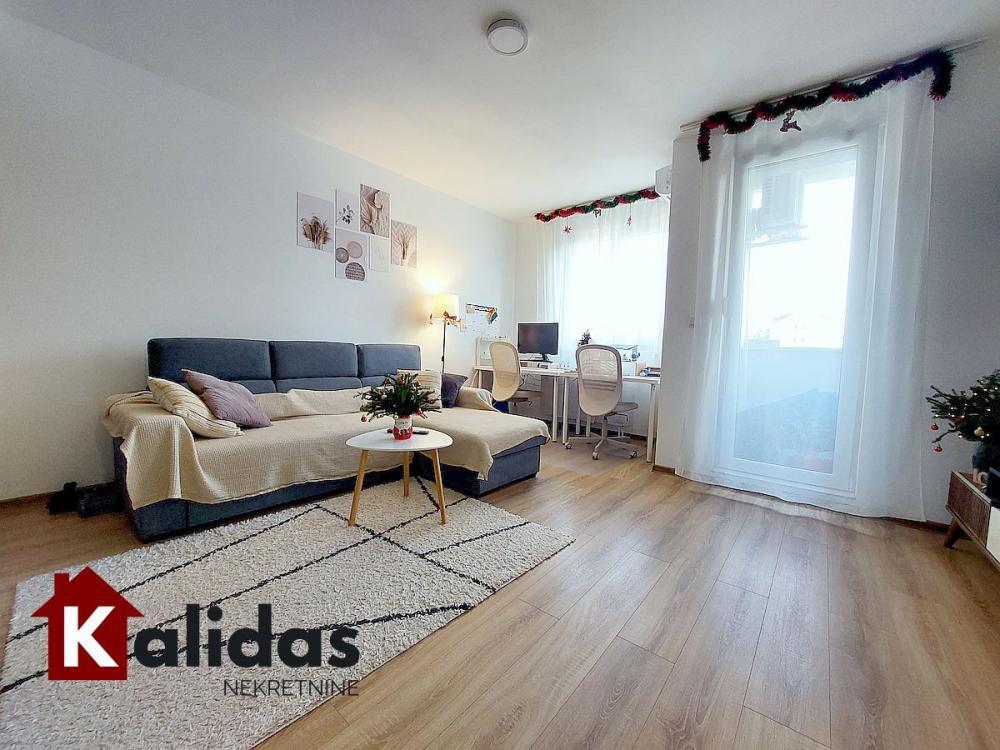 Glavna slika -Stan,NOVI SAD,CENTAR,kv: 46, € 164800, ID: 1008443