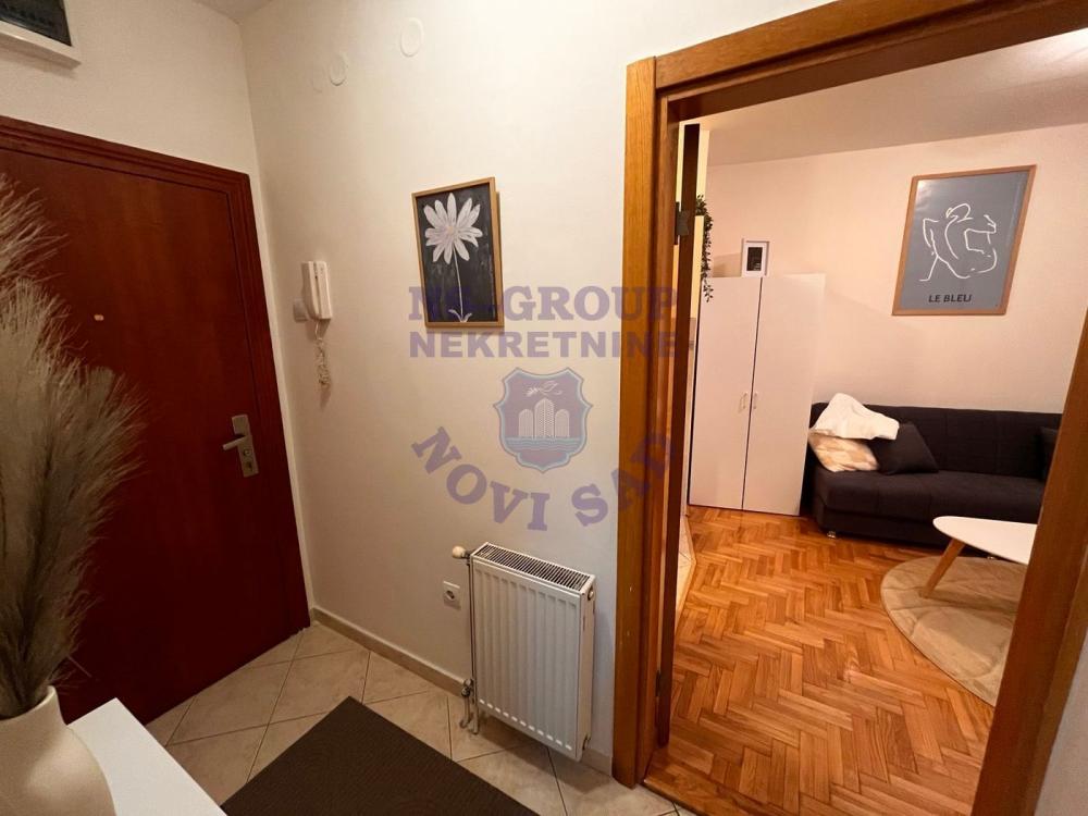 Slika 10 - Jednosoban, 26m2, Adamovićevo naselje Novi Sad, sa terasom, ima lift