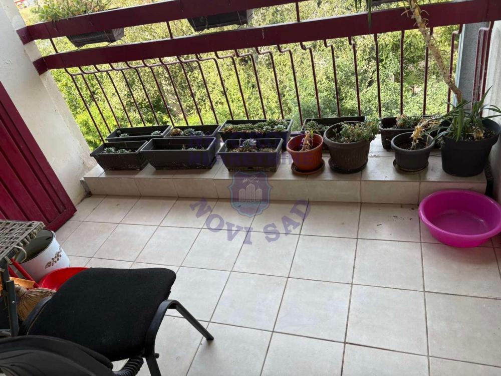 Slika 8 - Trosoban stan na Limanu IV! 80m2