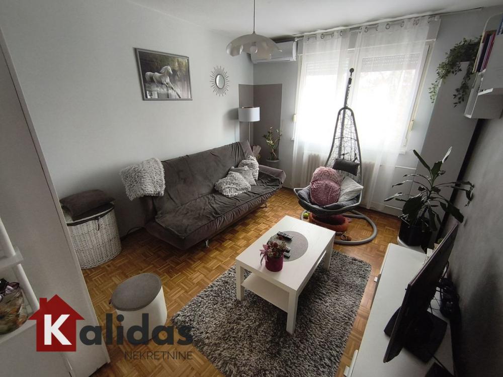 Slika 2 - Stan,NOVI SAD,DETELINARA,kv: 53, € 121500, ID: 1008464