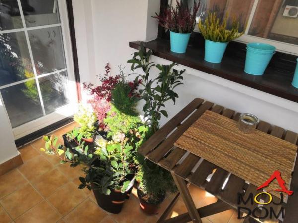 Slika 11 - Stan,NOVI SAD,CENTAR,kv: 64, € 257500, ID: 1026704