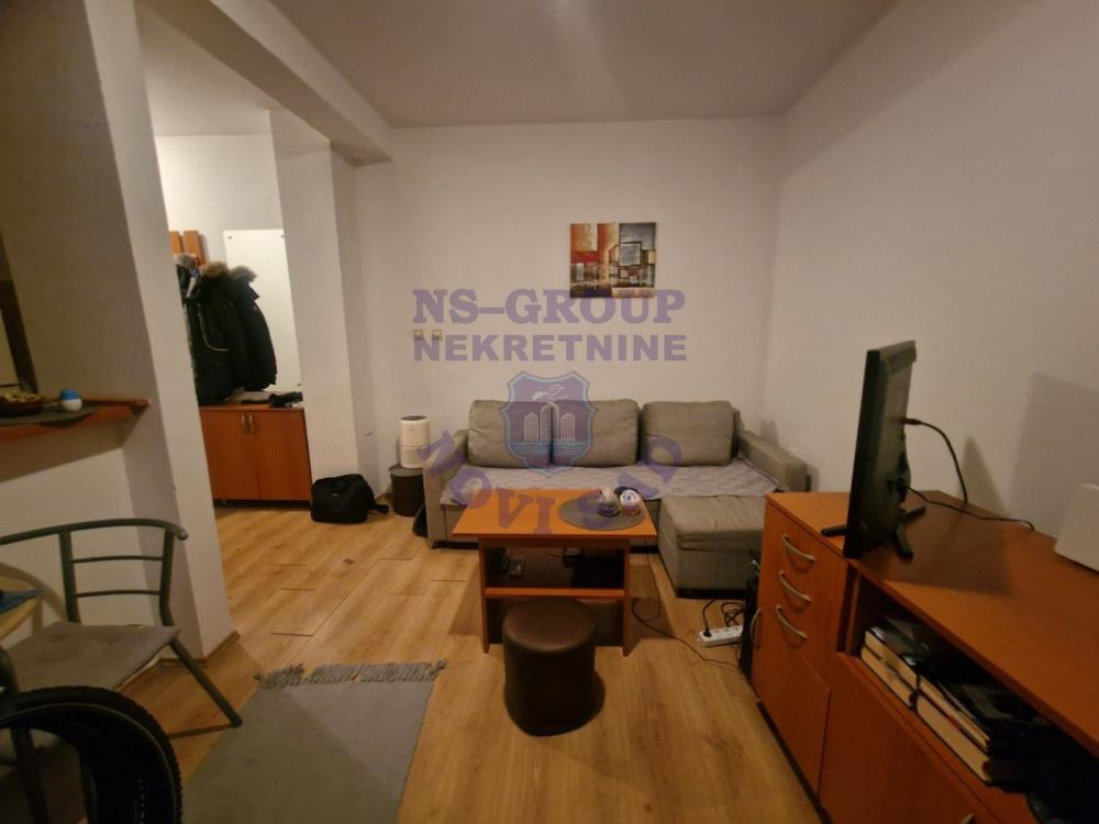 Slika 6 - Š-562516-GARSONJERA-NOVA DETELINARA