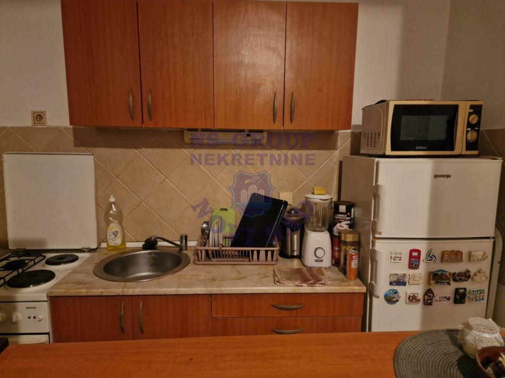 Slika 4 - Š-562516-GARSONJERA-NOVA DETELINARA