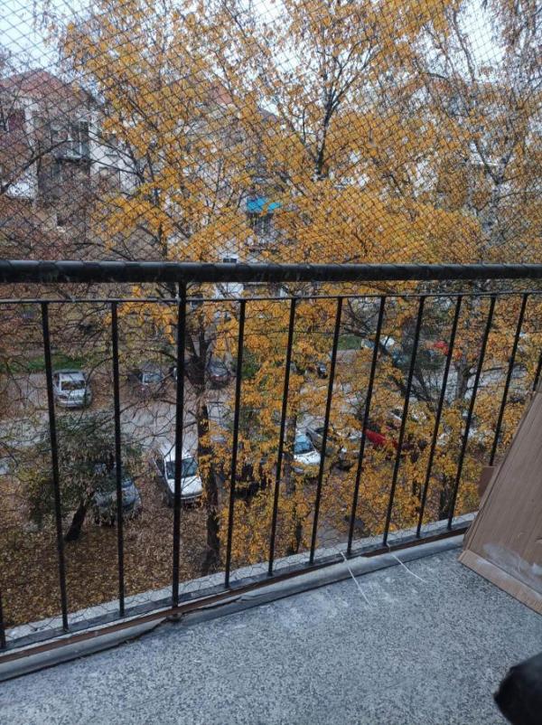 Slika 10 - Dvosoban, 45m2, Sajmište Novi Sad, sa terasom