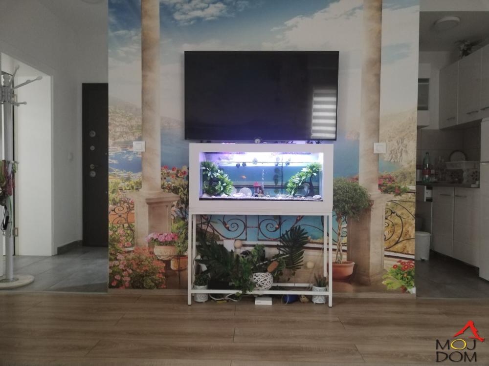 Slika 2 - Stan,NOVI SAD,ADICE,kv: 37, € 81400, ID: 1029674