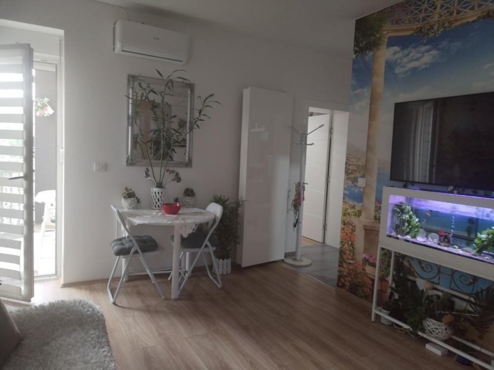 Slika 7 - Stan,NOVI SAD,ADICE,kv: 37.00, € 81500, ID: 1057680