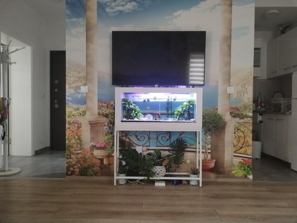 Slika 6 - Stan,NOVI SAD,ADICE,kv: 37.00, € 81500, ID: 1057680