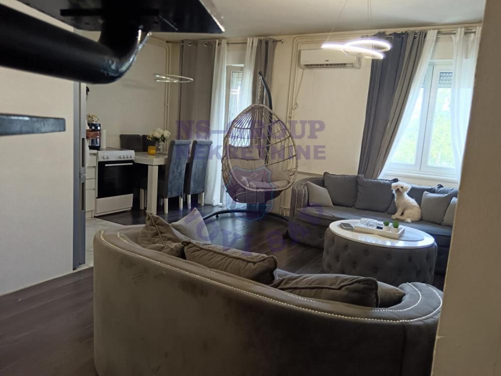 Slika 1 - Odlican duplex, Nova Detelinara