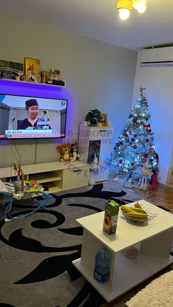 Slika 2 - Jednoiposoban,odlican,Novo Naselje