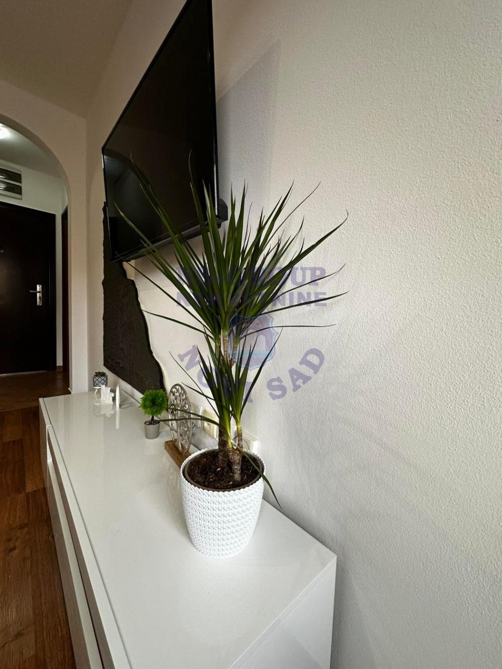 Slika 6 - Prodaja stana, 24m2, Nova Detelinara Novi Sad, sa terasom, ima lift