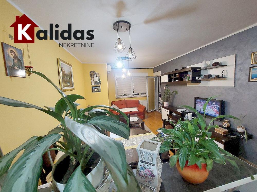 Slika 5 - Stan,NOVI SAD,NOVA DETELINARA,kv: 48, € 138400, ID: 1008584