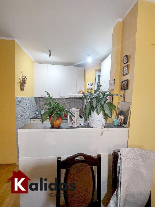 Slika 8 - Stan,NOVI SAD,NOVA DETELINARA,kv: 48, € 138400, ID: 1008584