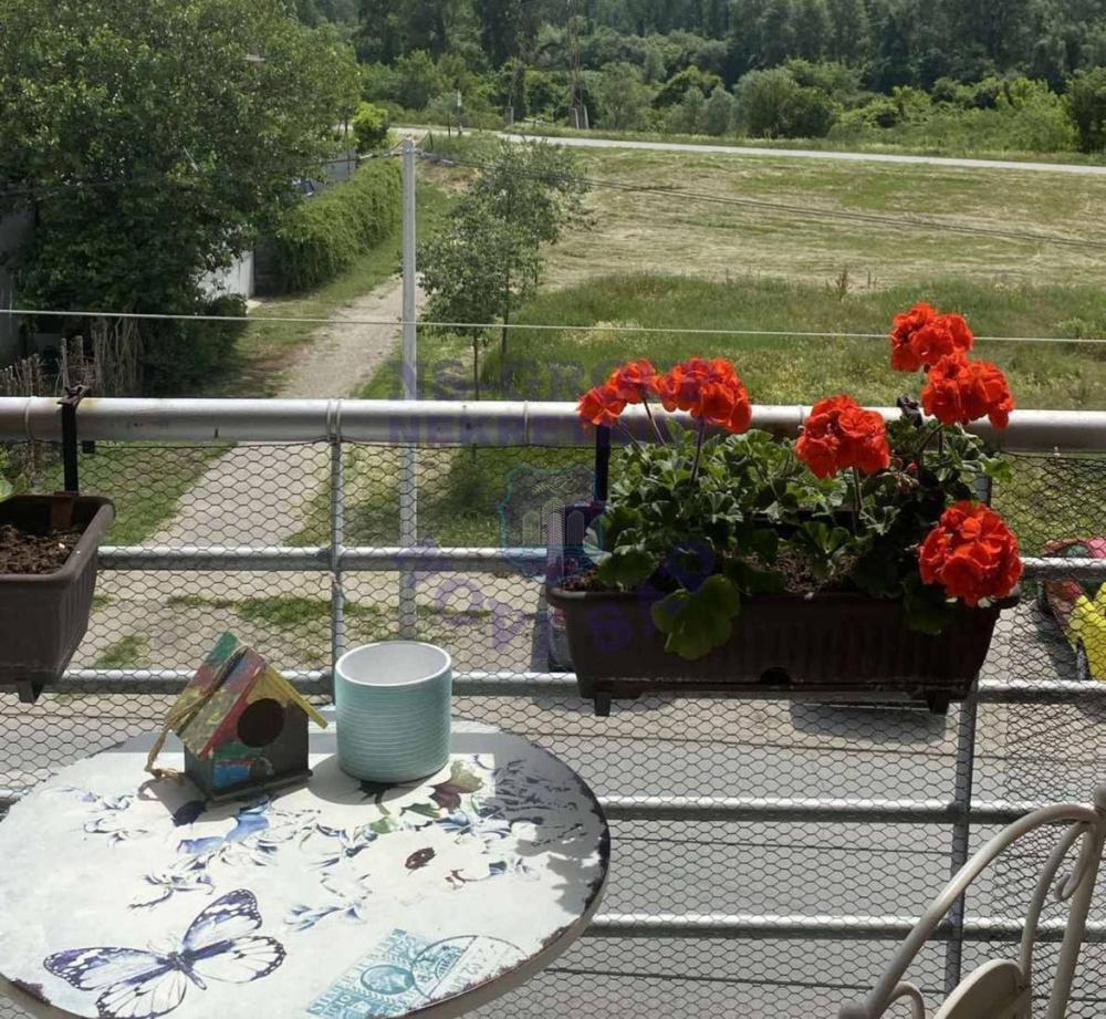 Slika 5 - Trosoban, 65m2, Telep Novi Sad