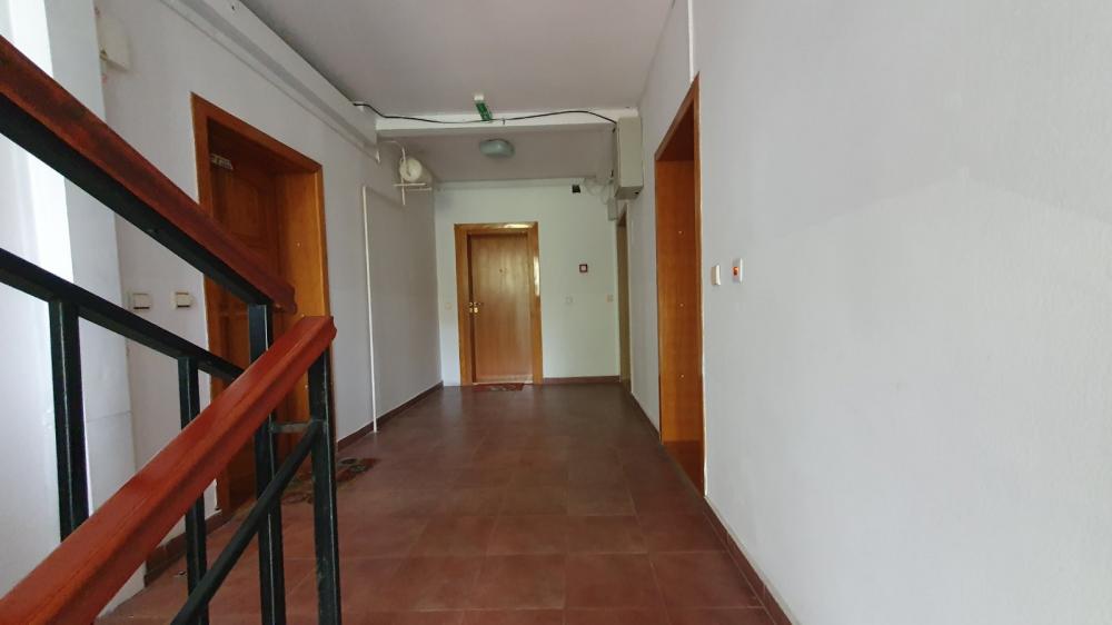 Slika 8 - Stan,NOVI SAD,GRBAVICA,kv: 45.00, € 129000, ID: 1058877