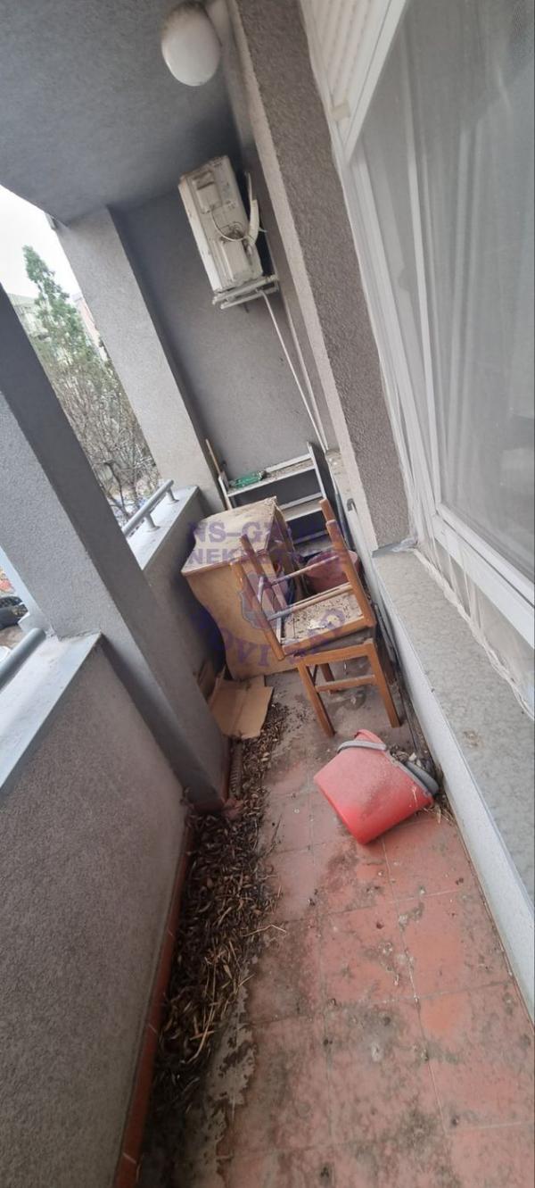 Slika 11 - Odlican stan u Doye Djerdja