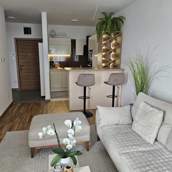 Glavna slika oglasa 36768