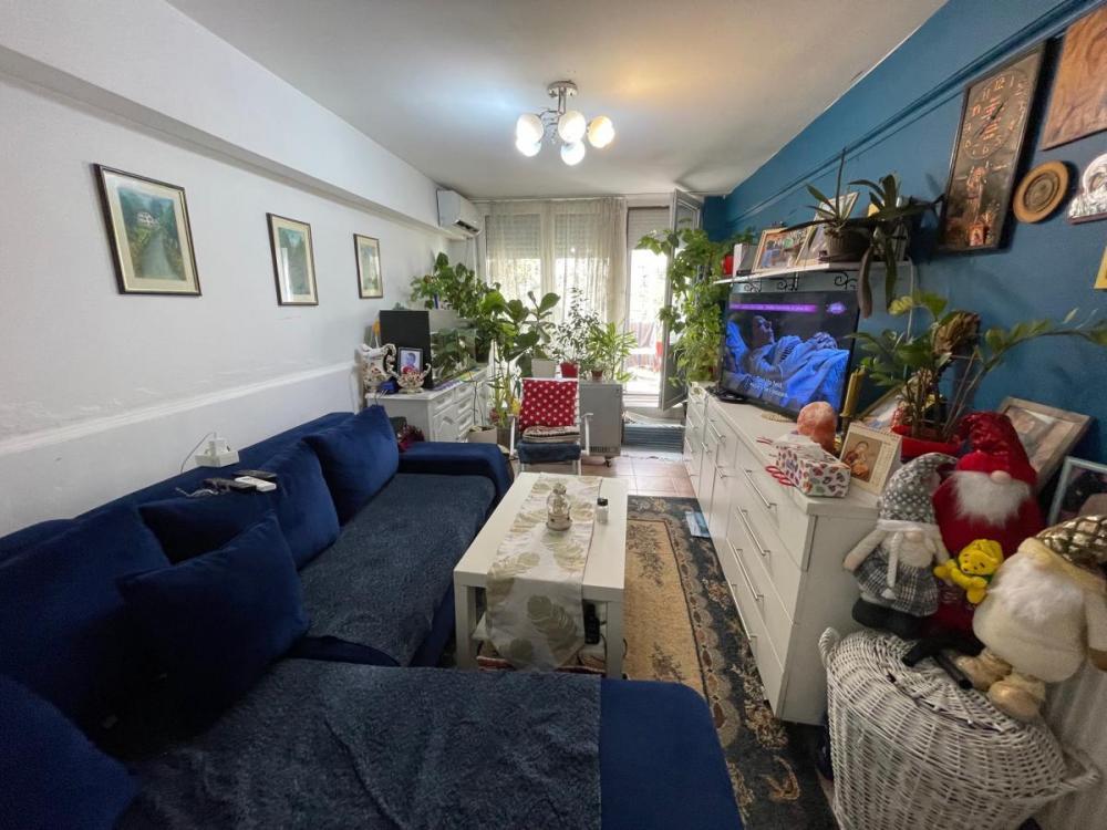 Glavna slika -Dvoiposoban stan 54m Toplice Milana