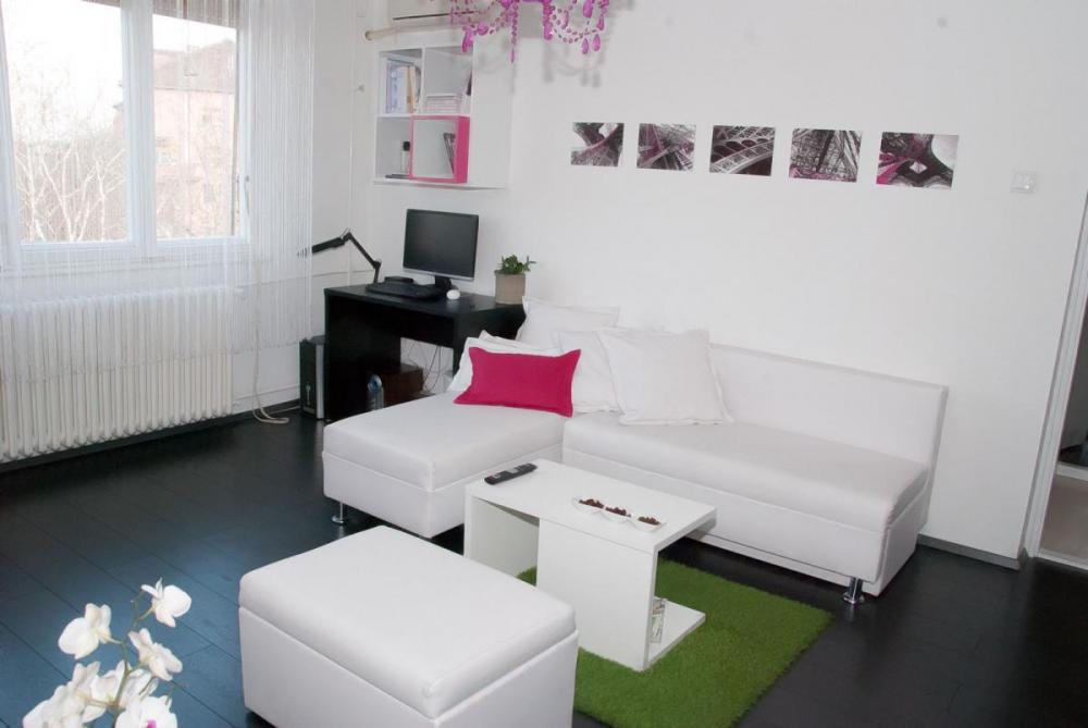 Slika 2 - Dvosoban stan 47m Detelinara