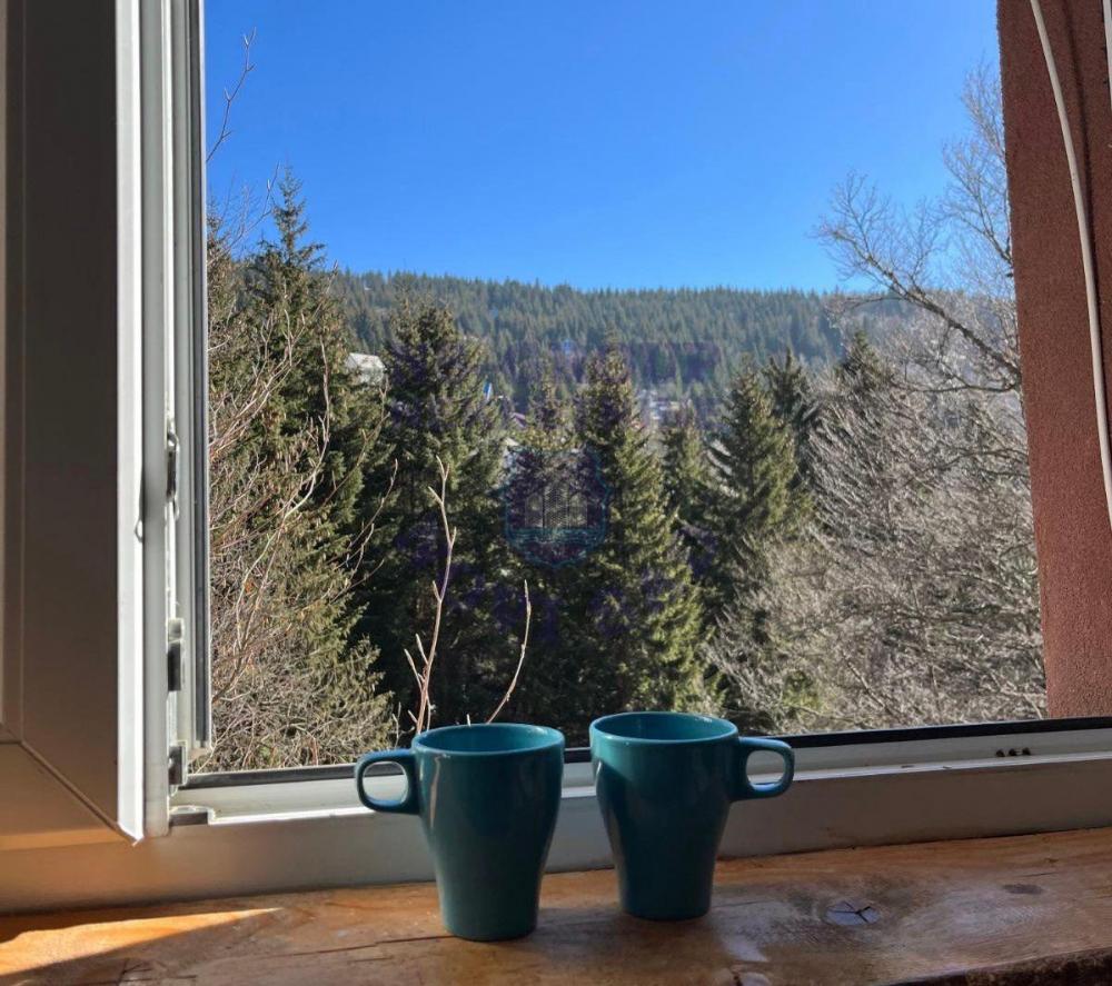 Slika 3 - Kopaonik, fenomenalna garsonjera