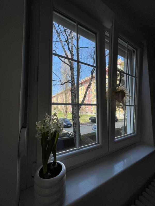 Slika 6 - Stan,NOVI SAD,STARA DETELINARA,kv: 50.00, € 125200, ID: 1059329