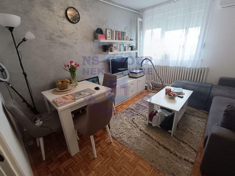 Slika 0 - Garsonjera, Stara Detelinara