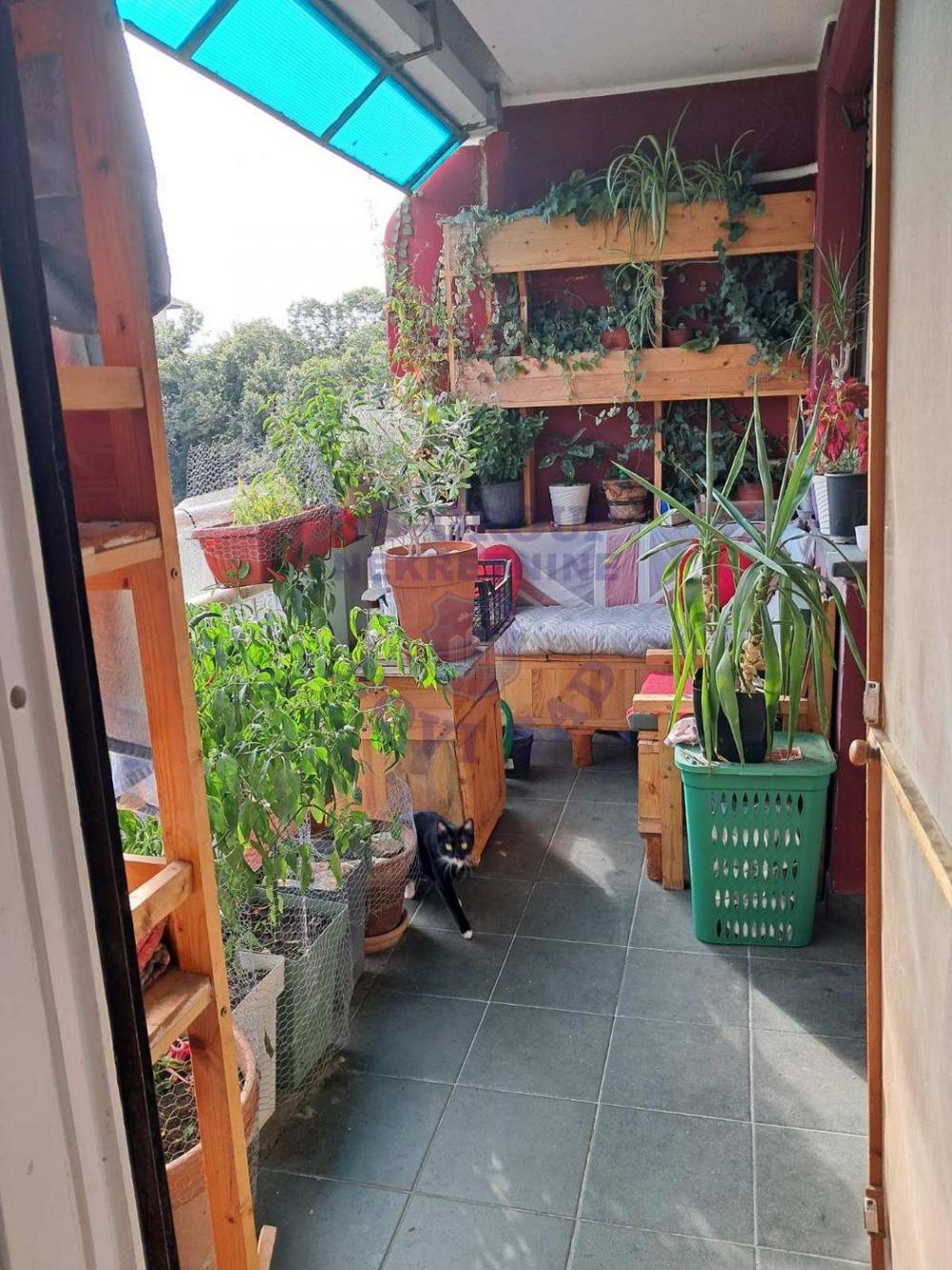 Slika 8 - Trosoban, 81m2, Liman 1 Novi Sad, sa terasom, ima lift