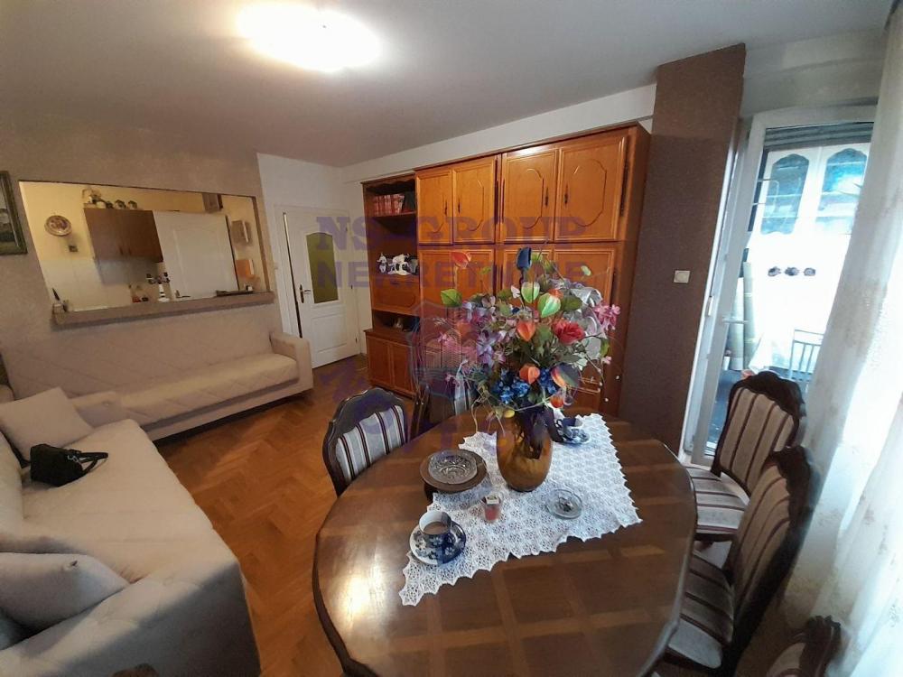 Slika 2 - Odlican stan na Novoj Detelinari