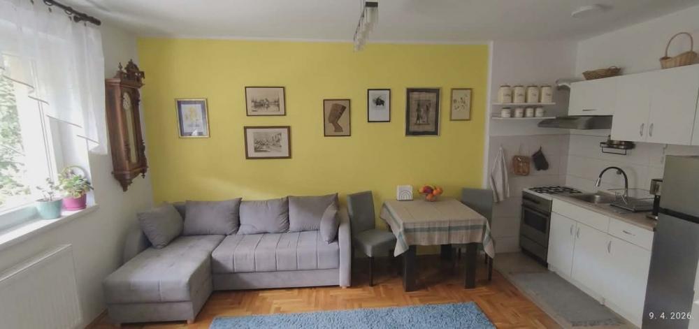 Glavna slika -Stan,NOVI SAD,PETROVARADIN,kv: 39.00, € 115600, ID: 1059382