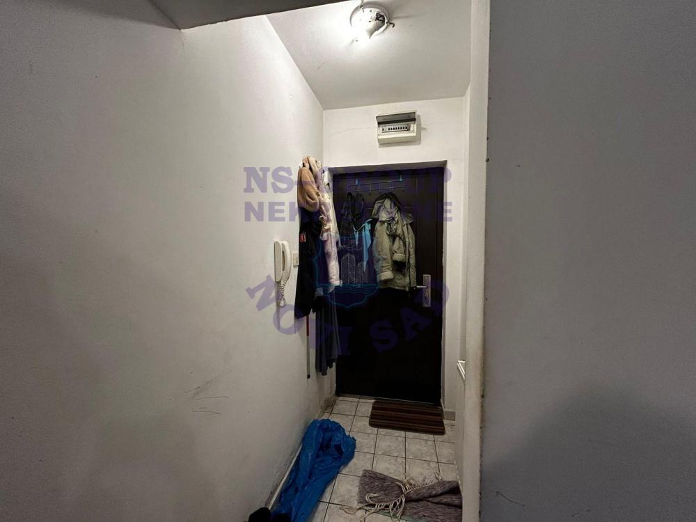 Slika 6 - 570357-Garsonjera na Salajci!