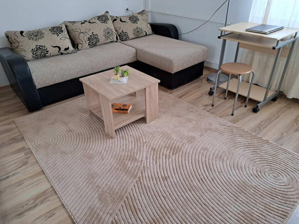 Slika 11 - Stan,NOVI SAD,CENTAR,kv: 78.00, € 234000, ID: 1059505