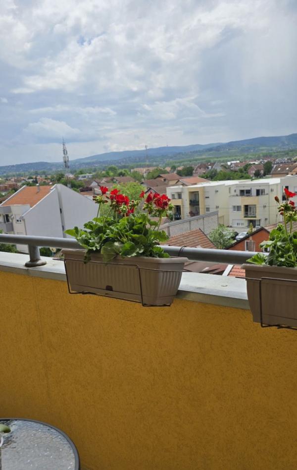 Slika 11 - Stan,NOVI SAD,NOVI BULEVAR,kv: 51.00, € 159650, ID: 1053105