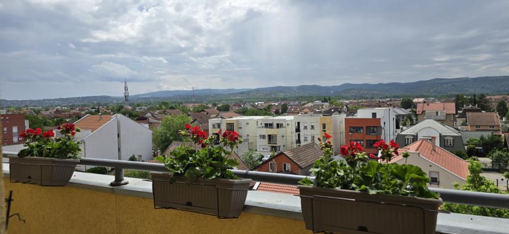 Slika 2 - Stan,NOVI SAD,NOVI BULEVAR,kv: 51.00, € 159650, ID: 1053105