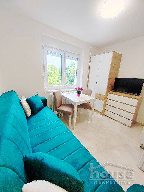 Slika 4 - Stan,NOVI SAD,FUTOŠKI PUT,kv: 14.00, € 56000, ID: 1063473