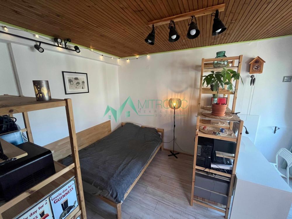 Slika 3 - 1004613 Kej, Dunav i terasa – funkcionalna garsonjera sa tavanskom ostavom 
