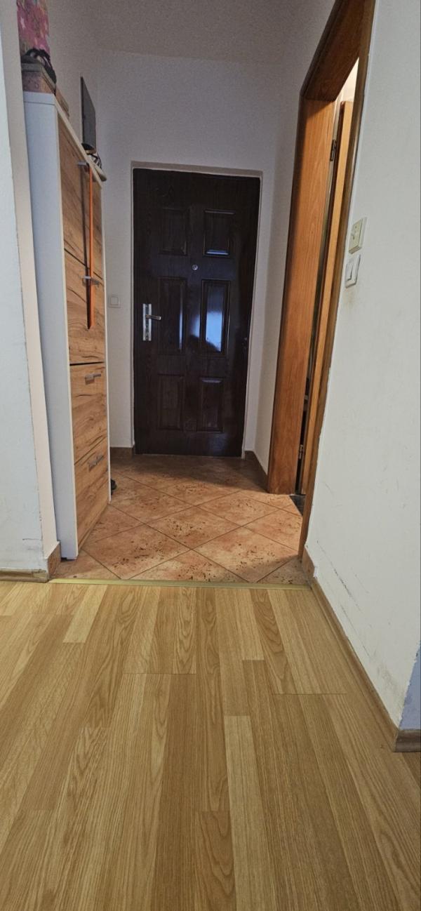 Slika 9 - Dvoiposoban, 44m2, Detelinara Novi Sad, sa terasom, ima lift
