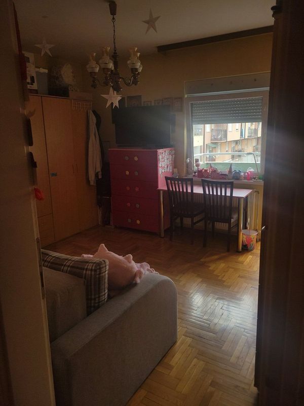 Slika 1 - Naša preporuka! Dvosoban stan na Detelinari - 50m2 - Šifra: 533045