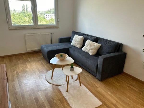 Glavna slika -Jednoiposoban 44m2 Avijacija 531628